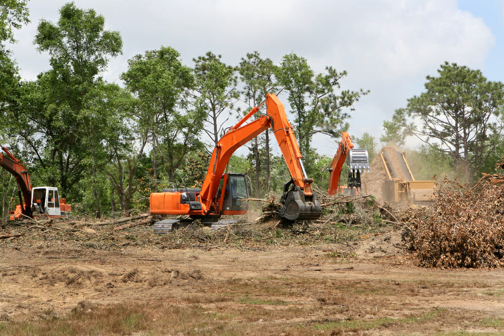 Land clearing in Maryland