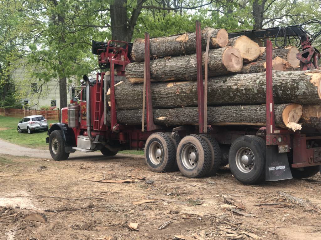 maryland tree hauling services