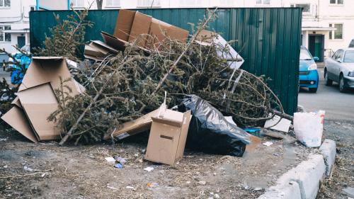 dispose of christmas tree