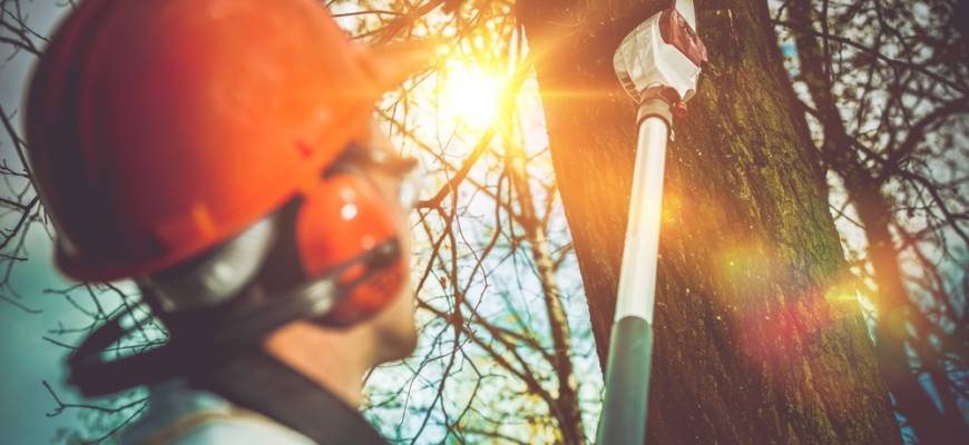 tree services carroll county