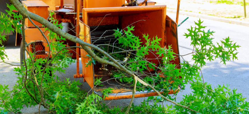 tree services frederick md