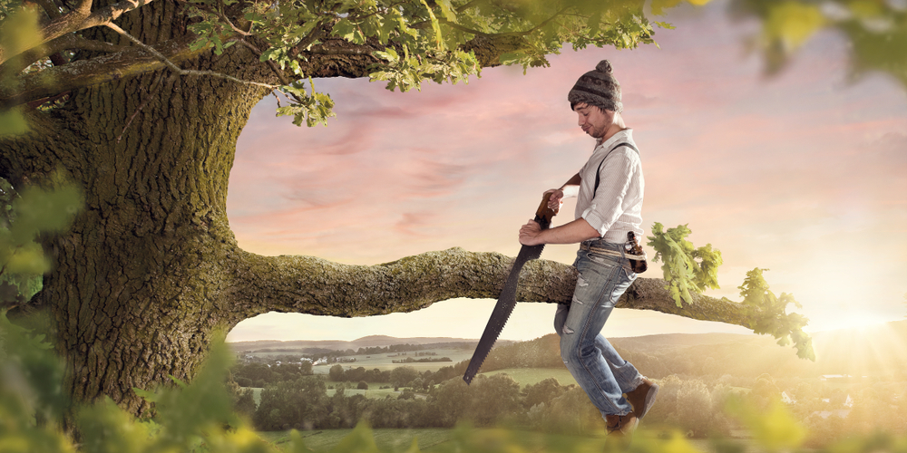 carroll county tree removal