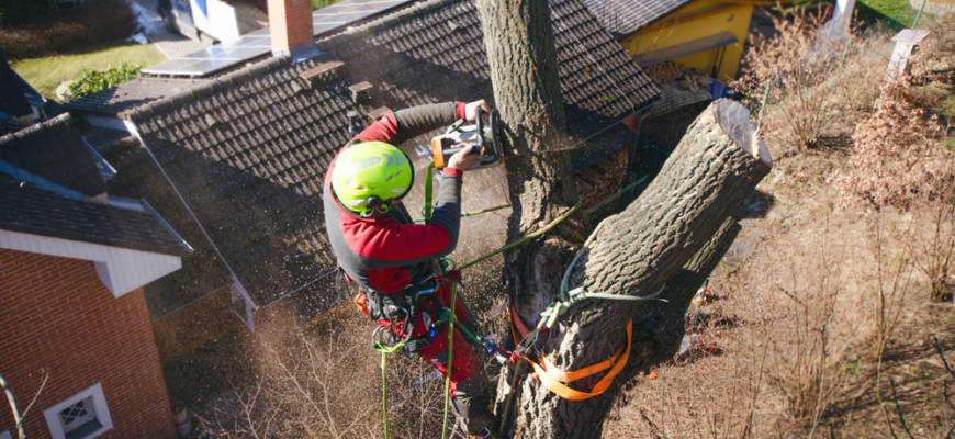 union bridge, md tree service