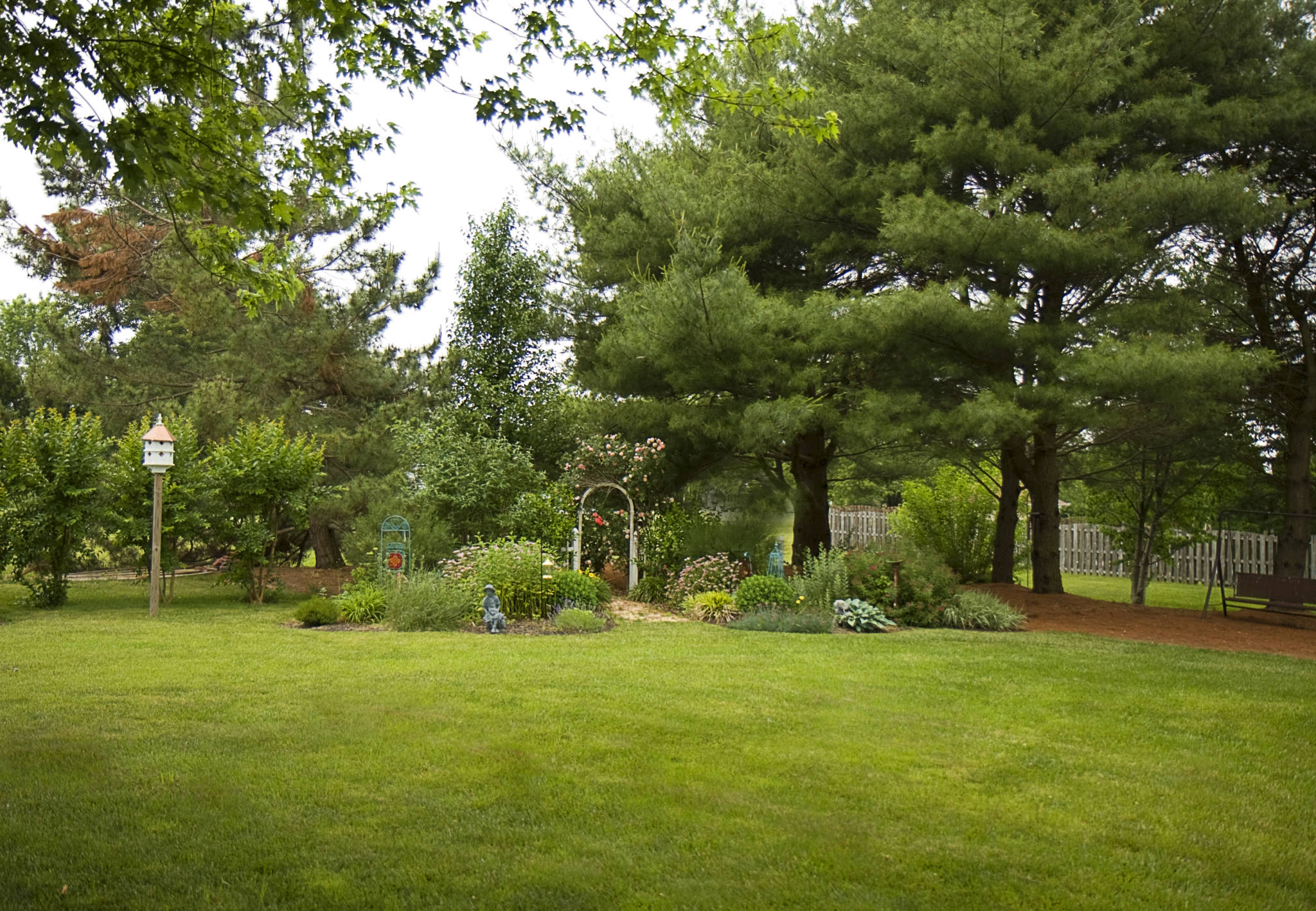 Top 5 Tips for Spring Tree Care Hagan & Sons