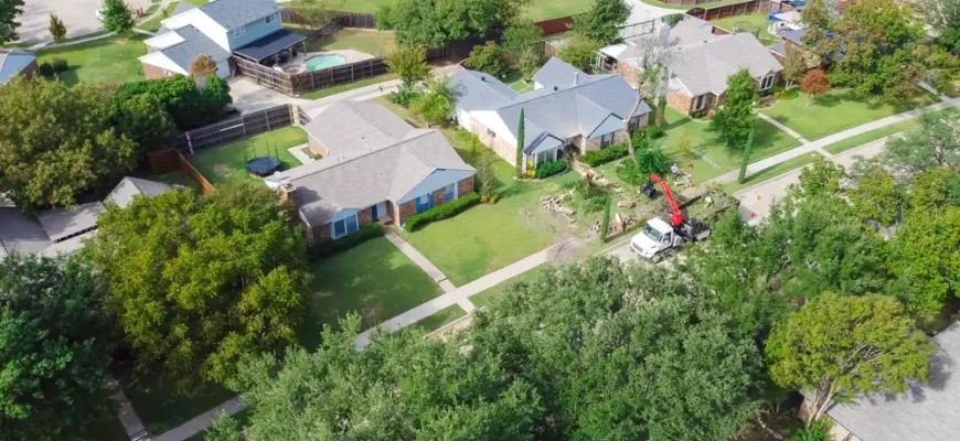 arial view of a tree removal