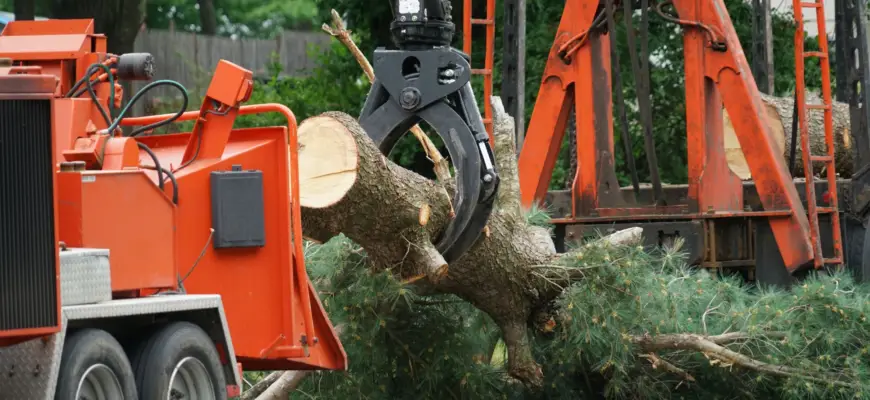 elkridge maryland tree services