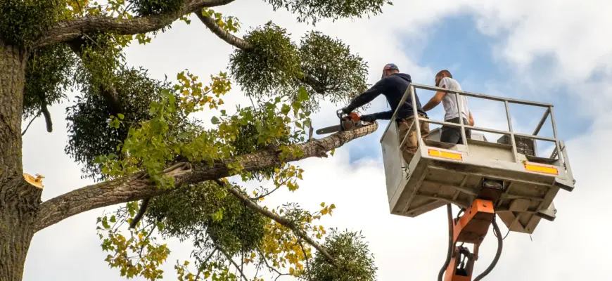 emmitsburg maryland tree services