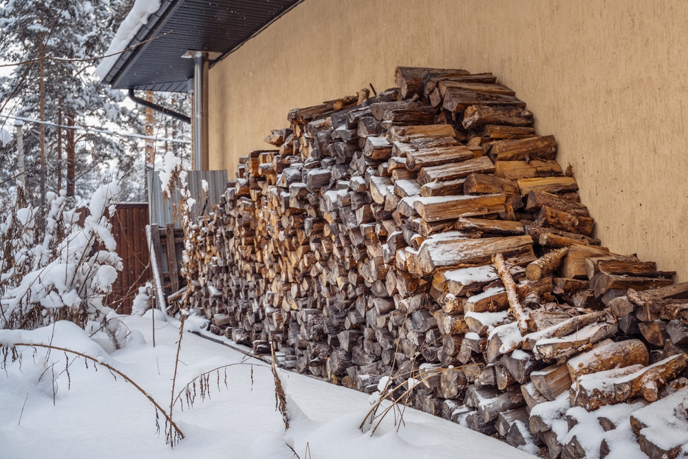 A neatly stacked pile of firewood rests against a cabin wall, surrounded by snow and pine trees.